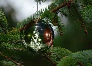 Weihnachtsmarkt und Weihnachtssingen