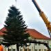 Ratzeburgs Weihnachtsbaum ist da