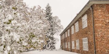 Neujahrsstadtführung – winterlicher Rundgang durch die Schifferstadt