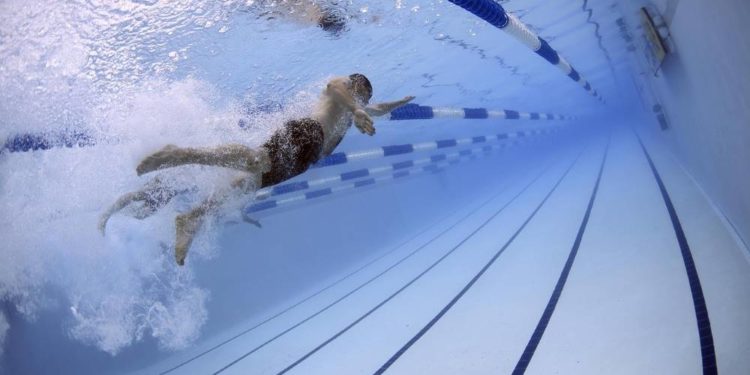 Kraul-Schwimmkurs für Erwachsene an