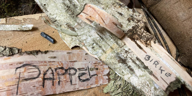 Naturpark-Werkstatt im Januar: Pappeln und Birken