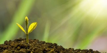 Internationale Grüne Woche 2023