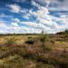 Erhalt der Biodiversität – eine Aufgabe für uns alle