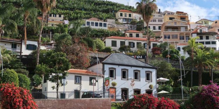 Madeira – Wilde Natur auf der Blumeninsel im Atlantik über und unter Wasser