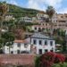 Madeira – Wilde Natur auf der Blumeninsel im Atlantik über und unter Wasser