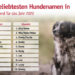 Luna und Balu lassen sich nicht vom Thron stoßen