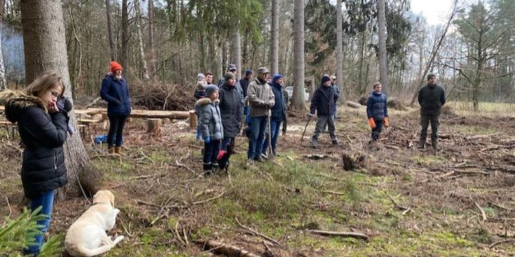 Der Wald muss klimastabil werden