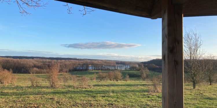 Büsche ziehen im Vogelparadies Lankower Seeufer
