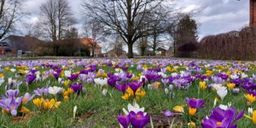 Foto der Woche