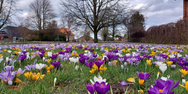 Foto der Woche
