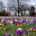 Foto der Woche