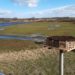 Mehr Wasser und ein Storchennest