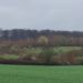 Naturschutzprojekte beim Zweckverband Schaalsee-Landschaft