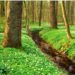 Erleben, entdecken, entspannen – Naturparktouren im April