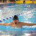Erfolgreiche SHSV-Landesmeisterschaften für den KSV-L Schwimmen