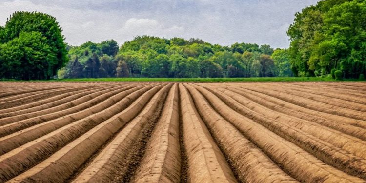 Saisonarbeiter haben schlechteren Schutz vor Krankheit