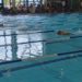 Norddeutsche Meisterschaften im schwimmerischen Mehrkampf