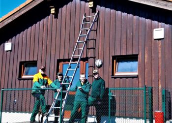 Fledermauskästen in Steinhorst
