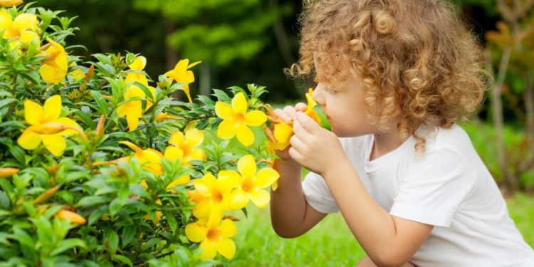 Vergiftungen im heimischen Garten