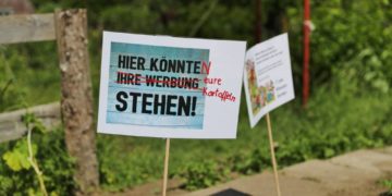 Blühende Landschaften auf dem Möllner Schulberg 