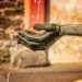 Dürre – Brunnenwasseruntersuchung und Beratung in Mölln