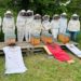 Bienen-AG bekommt neue Völker