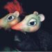Puppentheater „Zumpelchen“ im PAHLHUUS in Zarrentin