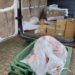 Polizei stoppt Lebensmitteltransport