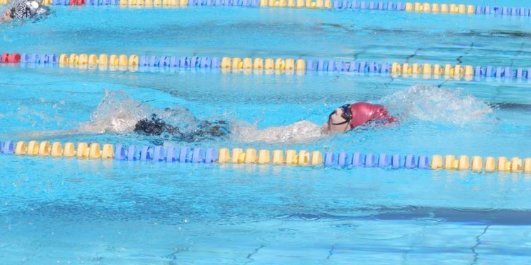Schwimmstaffeln aus Mölln erfolgreich