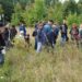 Kräuterführung “Kräuter auf der Insel Kampenwerder” im UNESCO-Biosphärenreservat Schaalsee