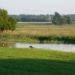 Geführte Wanderung im Duvenseer Moor