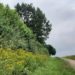 Führung zu Thema Knicklandschaft: „Kannste knicken!“