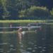 Regatta Segeberg – rasante Rennen bei Sonne satt