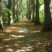 Wanderung Kirchensee Zarrentin