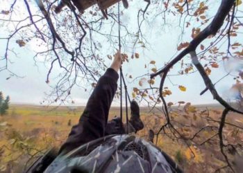 Dokumentation zum Hambacher Forst: „Vergiss Meyn nicht“