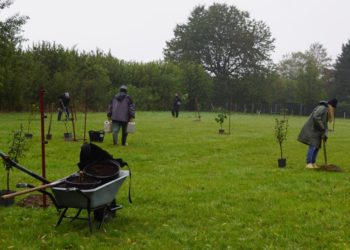 Eine Streuobstwiese am Steinhorster-Schiphorster Moor entsteht