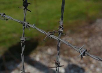 Schleswig-Holstein in der NS-Zeit – was und wie erinnern wir?