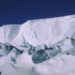 Die Antarktis – eine Welt aus Eis