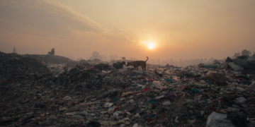 „Plastic Fantastic“-Dokumentation im Filmclub