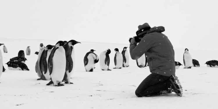  „Rückkehr zum Land der Pinguine“