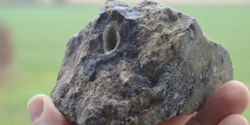 Wenn Steine vom Himmel fallen – Suevit, das Gestein des Jahres 2024