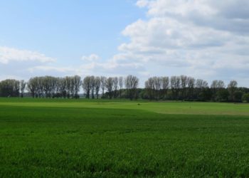 Erlebniswanderung durch Feld und Flur am Gut Basthorst