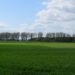 Erlebniswanderung durch Feld und Flur am Gut Basthorst