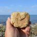 Steine, Fossilien und Meer