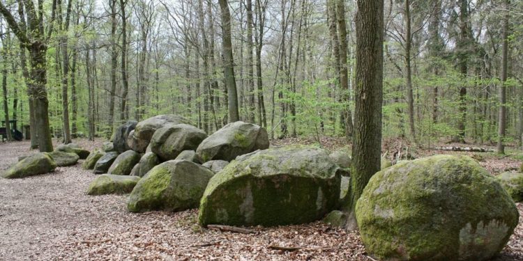 Radtour rund um Berkenthin