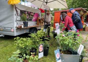 Biosphäre-Schaalsee-Markt Markt mit regionalen Produkten
