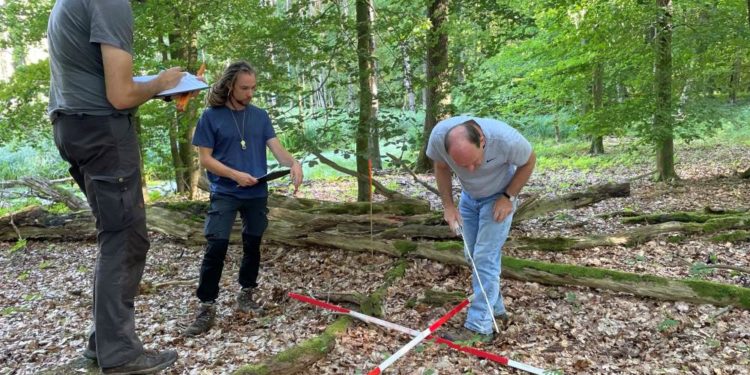 Projekt WiWaldI- Wissenschaftler untersuchen die Waldvegetation