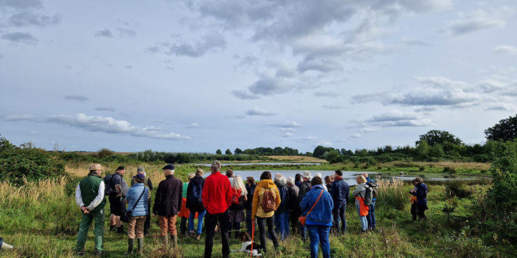 Großes Interesse an Naturführung am Mechower Weiher