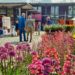 Die Biosphären-Schaalsee-Marktsaison endet