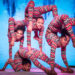 ‚JABULA AFRICA‘ – Circus der tanzenden Trommeln